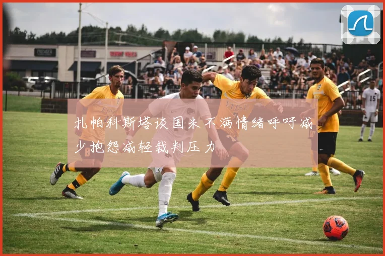 扎帕科斯塔谈国米不满情绪呼吁减少抱怨减轻裁判压力